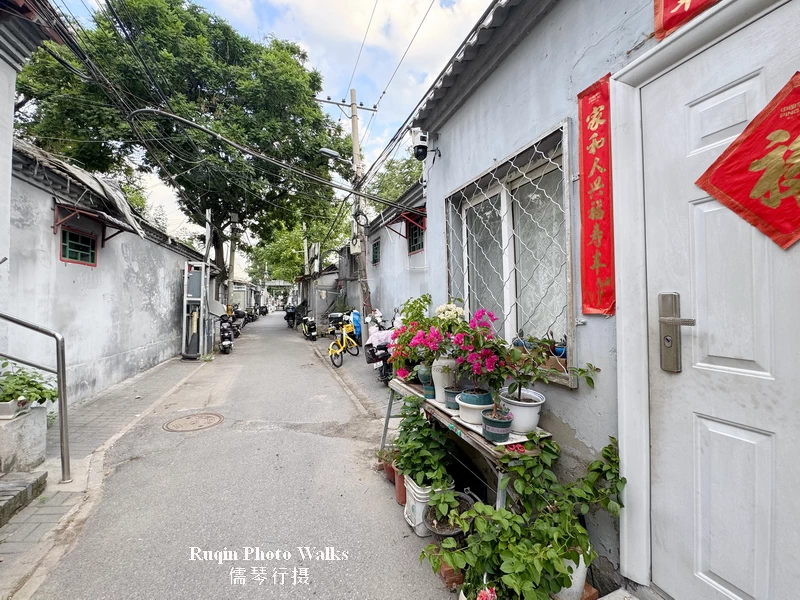The makeshift structure and its Potted plants and bonsai at Dongting Hutong