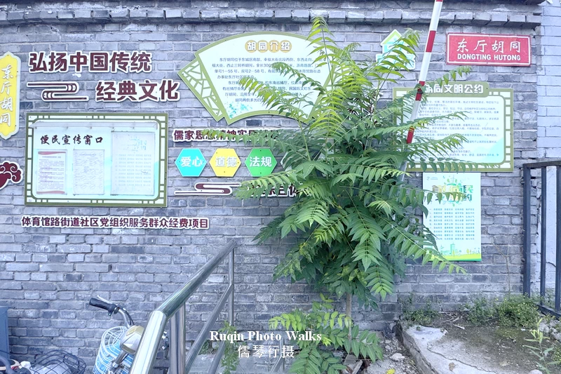 The Dongting Hutong Neighborhood Information Board