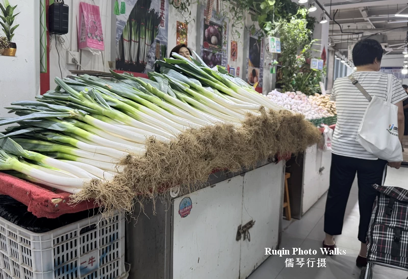 I noticed plenty of large green scallions too at Longtan Market