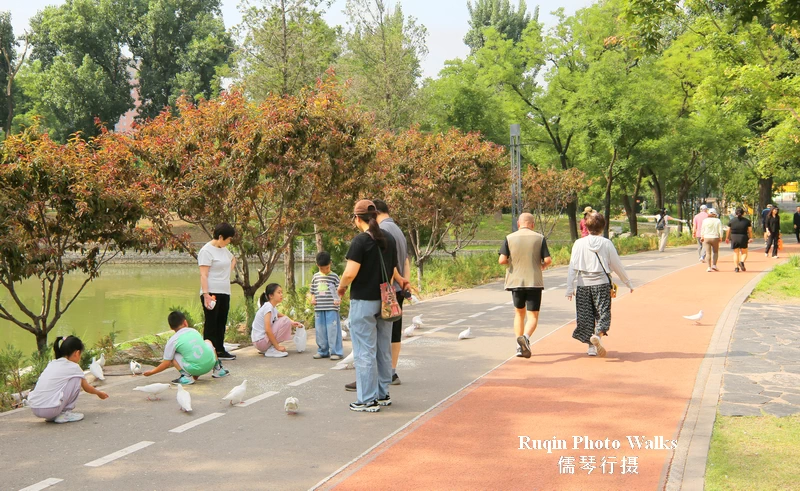 children chased pigeons while parents watched nearby at Beijing Longtan Mid-lake