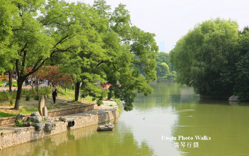 Standing by the lake, I felt the city settling into its day at Longtan Mid Lake