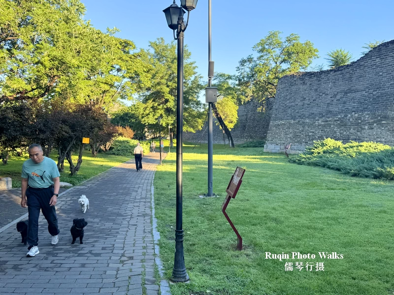 Morning dog walkers along the path seen from my Beijing Ming City Wall Relics Park Morning Walk