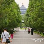 Temple of Heaven Morning Walk