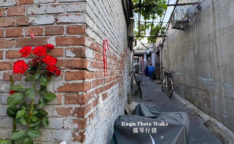 Walk from Dongting Hutong to Dongbi Street by Ruqin Photo Walks