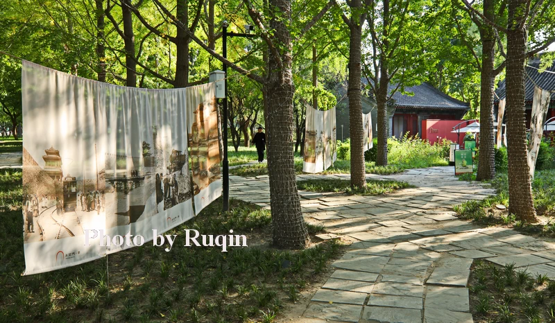 The large historical images hanging among the trees in front of the Teahouse