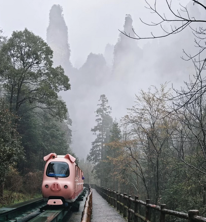 Ten-Mile Gallery on a drizzly day in Zhangjiajie