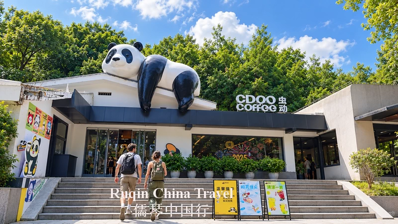 Chongqing Zoo Panda Guide