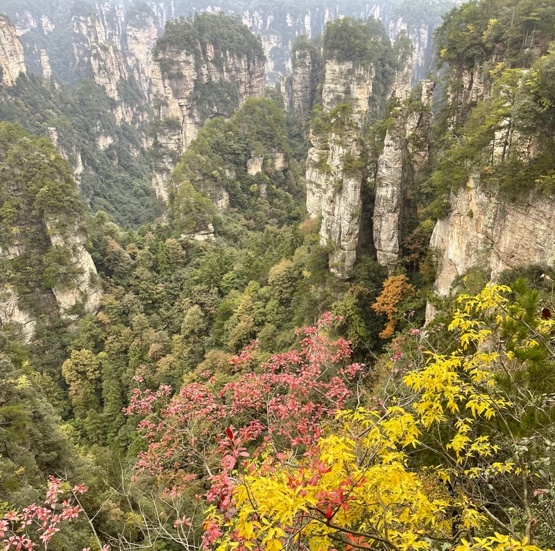 Autumn Colours in Zhangjiajie