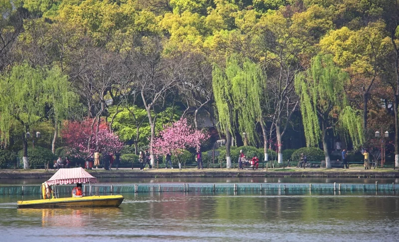 The Spring of the West Lake