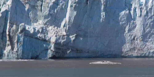 margerie glacier alaska