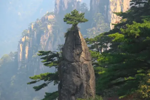 A Flower on the Brush Tip Huangshan