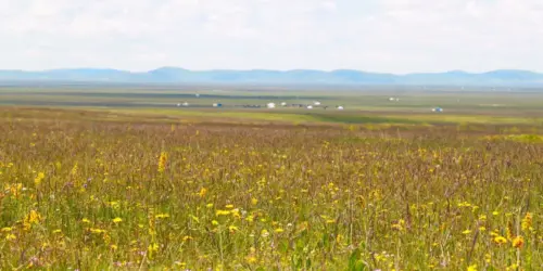 Nuoergai Grassland